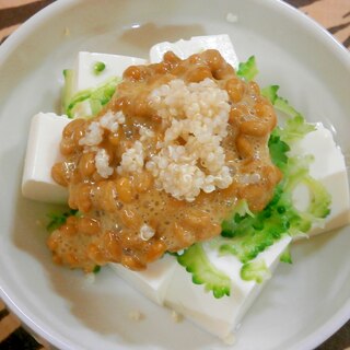ゴーヤ・納豆・豆腐サラダ